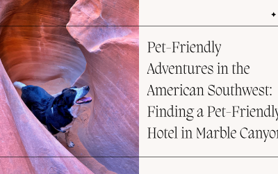 Pet-Friendly Adventures in the American Southwest: Finding a Pet-Friendly Hotel Marble Canyon
