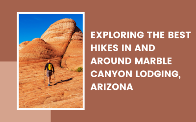 Exploring the Best Hikes in and Around Marble Canyon Lodging, Arizona